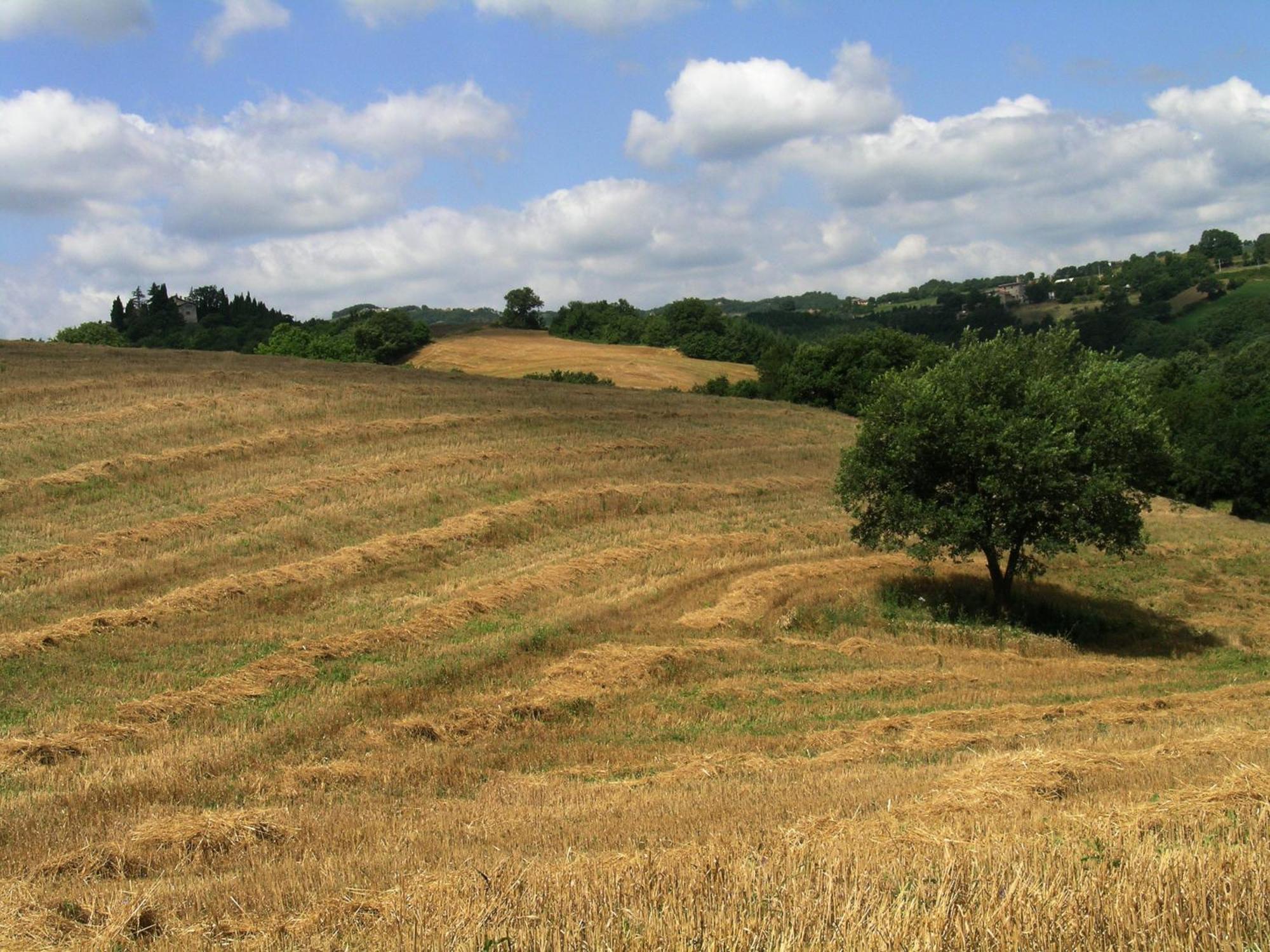 Azienda Agraria Montelujano Губбио Экстерьер фото