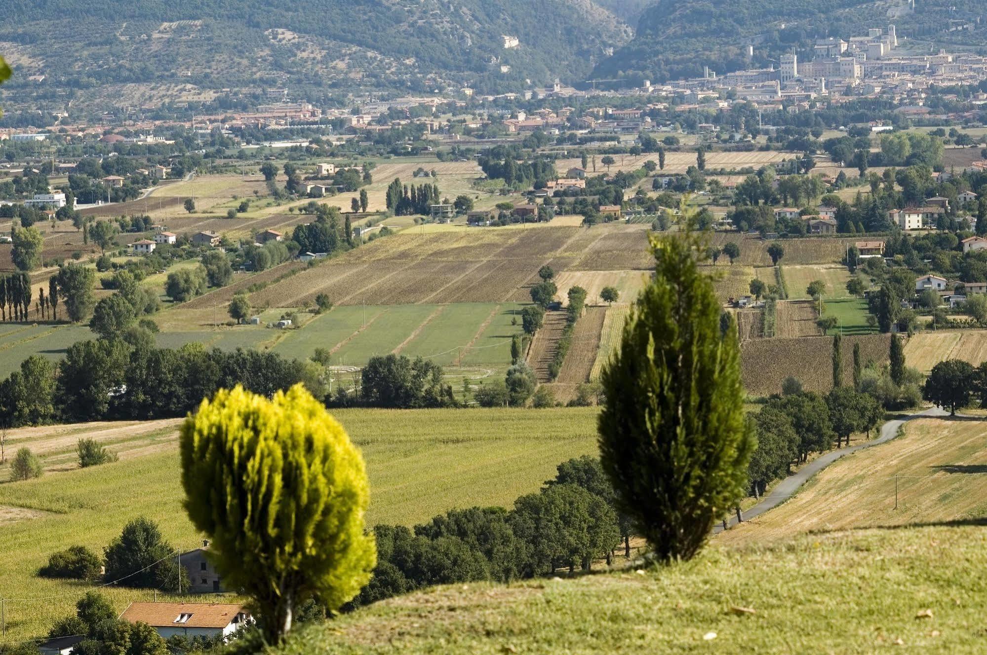 Azienda Agraria Montelujano Губбио Экстерьер фото